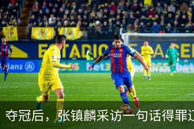 夺冠后，张镇麟采访一句话得罪辽宁，辽蜜：有本事到四川证明价值